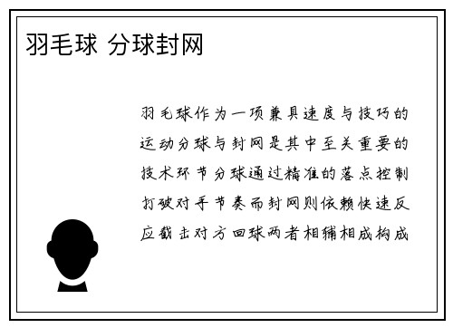 羽毛球 分球封网