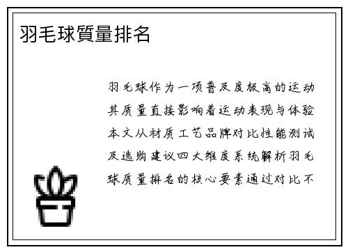 羽毛球質量排名