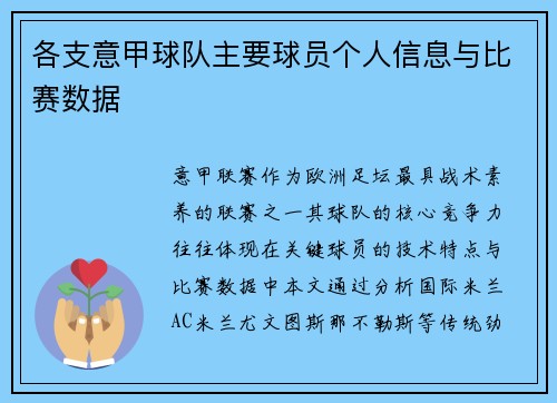 各支意甲球队主要球员个人信息与比赛数据